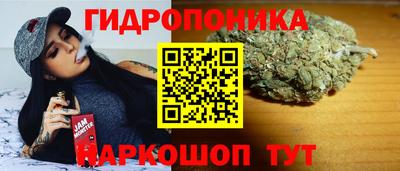 дмт Малгобек