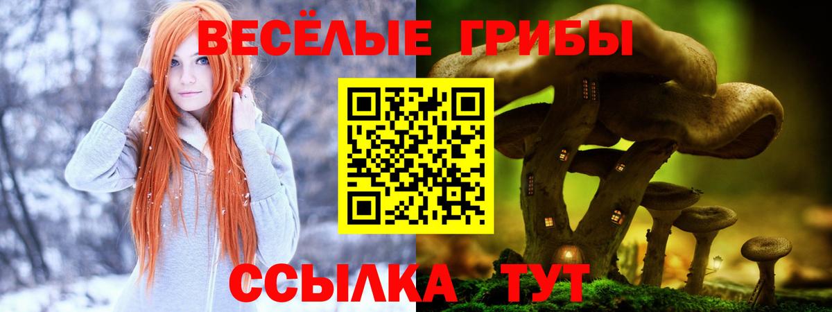 Галлюциногенные грибы Magic Shrooms  Вход с VPN  Джанкой  Галлюциногенные грибы мухоморы 